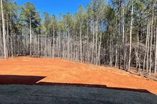 2345 New Hope Rd, Locust Grove, GA 30248 - Photo 7