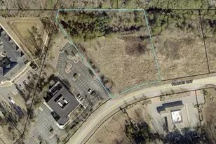 Lot#7 (2 23 Ac) Francis Way, Sharpsburg, GA 30277 - Photo 7