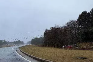 Lot#7 (2 23 Ac) Francis Way, Sharpsburg, GA 30277 - Photo 5