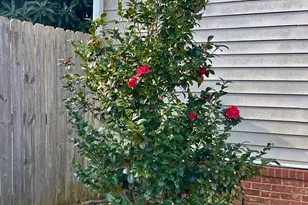 145 NW Emily Circle NW, Milledgeville, GA 31061 - Photo 43