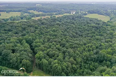 396 W L Williams Road, Commerce, GA 30530 - Photo 39