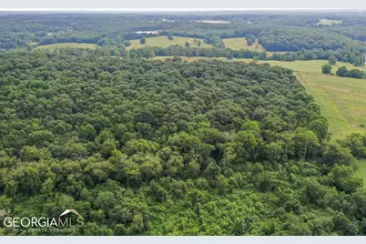 396 W L Williams Road, Commerce, GA 30530 - Photo 19