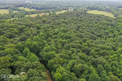 396 W L Williams Road, Commerce, GA 30530 - Photo 15