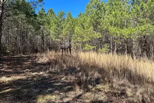 77 Acres Roosevelt Hwy, Warm Springs, GA 31830 - Photo 1