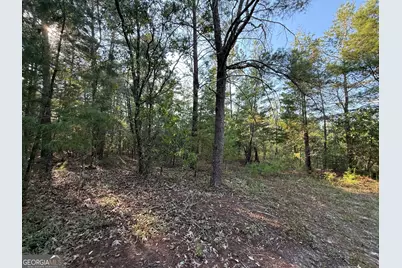 77 Acres Roosevelt Highway, Warm Springs, GA 31830 - Photo 13