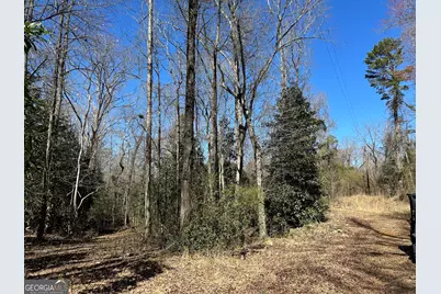 77 Acres Roosevelt Highway, Warm Springs, GA 31830 - Photo 17