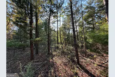77 Acres Roosevelt Highway, Warm Springs, GA 31830 - Photo 3