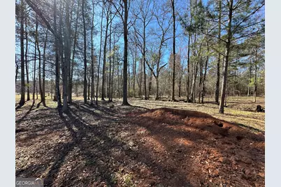 77 Acres Roosevelt Highway, Warm Springs, GA 31830 - Photo 11