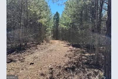 77 Acres Roosevelt Highway, Warm Springs, GA 31830 - Photo 19