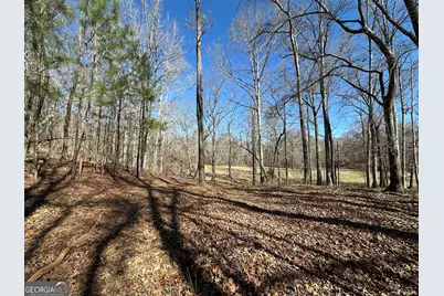 77 Acres Roosevelt Highway, Warm Springs, GA 31830 - Photo 11