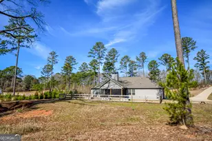 4214 S Hwy 29, Moreland, GA 30259 - Photo 41