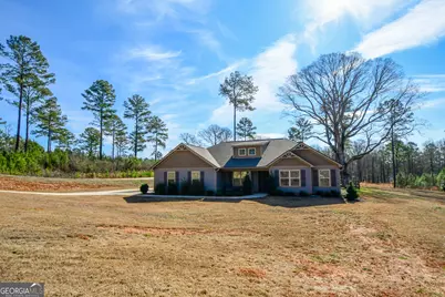 4214 S Highway 29, Moreland, GA 30259 - Photo 3