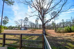 4214 S Hwy 29, Moreland, GA 30259 - Photo 39