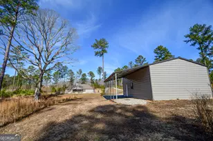 4214 S Hwy 29, Moreland, GA 30259 - Photo 45