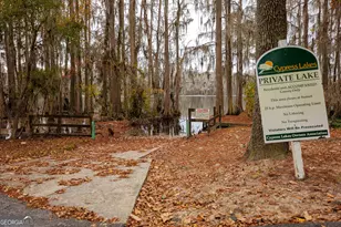 5231 Paw Paw Ln, Lake Park, GA 31636 - Photo 59