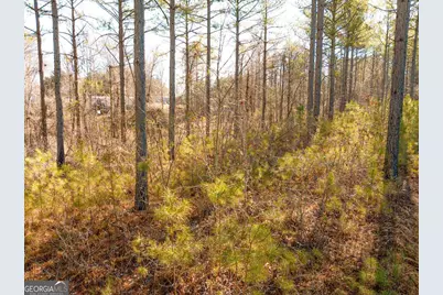0 Reavis Road, Ball Ground, GA 30107 - Photo 5