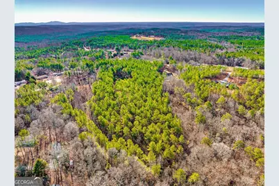 0 Reavis Road, Ball Ground, GA 30107 - Photo 11