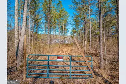 0 Reavis Road, Ball Ground, GA 30107 - Photo 7