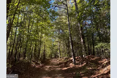 30 Ac W Ellis, Griffin, GA 30223 - Photo 3