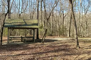 234 Old River Rd, Cornelia, GA 30531 - Photo 31