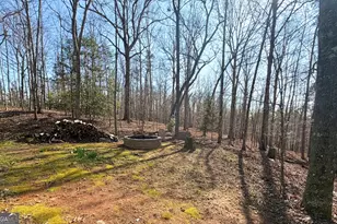 234 Old River Rd, Cornelia, GA 30531 - Photo 29