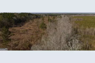 0 Scotland Road, Dublin, GA 31021 - Photo 9