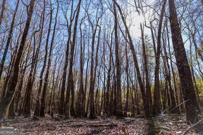 0 Scotland Road, Dublin, GA 31021 - Photo 5