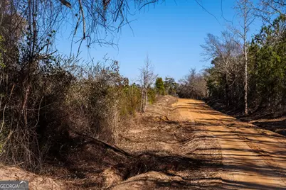 0 Scotland Road, Dublin, GA 31021 - Photo 3