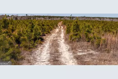 0 Scotland Road, Dublin, GA 31021 - Photo 1