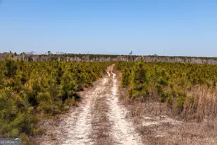 0 Scotland Rd, Dublin, GA 31021 - Photo 1