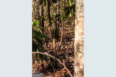 0 Scotland Road, Dublin, GA 31021 - Photo 11