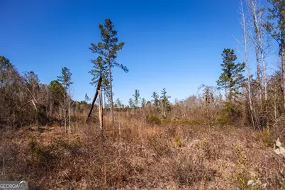 0 Scotland Road, Dublin, GA 31021 - Photo 13