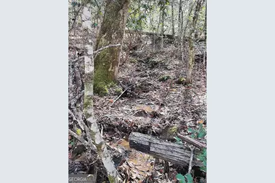 4720 Jones Gap Road, Hiawassee, GA 30546 - Photo 3