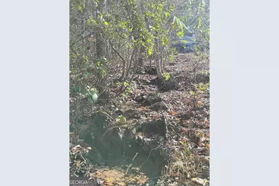 4720 Jones Gap Road, Hiawassee, GA 30546 - Photo 5