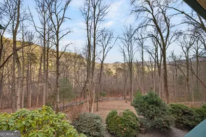 317 Collins Creek Road, Hiawassee, GA 30546 - Photo 35