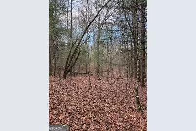 001 Fish Cove Rd., Blairsville, GA 30512 - Photo 11