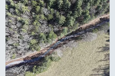 001 Fish Cove Rd., Blairsville, GA 30512 - Photo 3