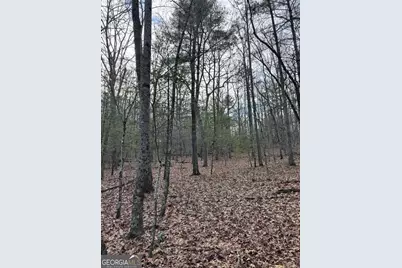 001 Fish Cove Rd., Blairsville, GA 30512 - Photo 5