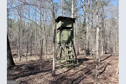 195 Margarets Grove Road SW, Crawfordville, GA 30631 - Photo 17