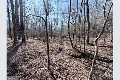 195 Margarets Grove Road SW, Crawfordville, GA 30631 - Photo 31