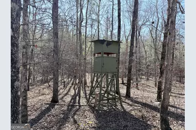 195 Margarets Grove Road SW, Crawfordville, GA 30631 - Photo 19