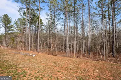 1410 Hunter Welch Parkway, Luthersville, GA 30251 - Photo 35