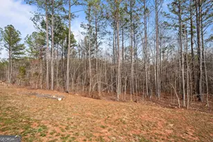 1410 Hunter Welch Pkwy, Luthersville, GA 30251 - Photo 35