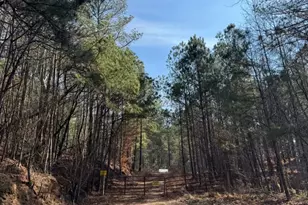 13308 W Hwy 136, Talking Rock, GA 30175 - Photo 1