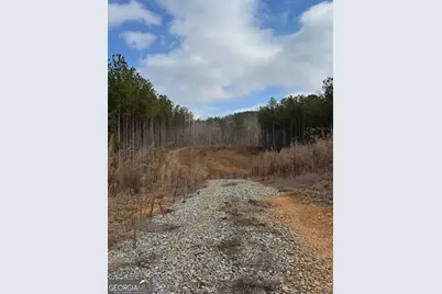 13308 W Highway 136, Talking Rock, GA 30175 - Photo 7