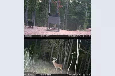 13308 W Highway 136, Talking Rock, GA 30175 - Photo 11