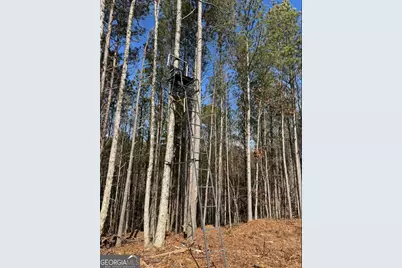 13308 W Highway 136, Talking Rock, GA 30175 - Photo 3