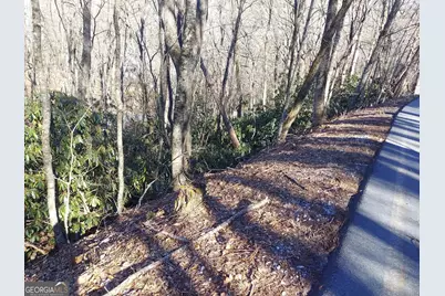 0 Lot 41 Rebel Circle, Sky Valley, GA 30537 - Photo 3