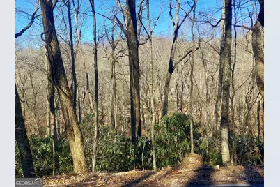 0 Lot 41 Rebel Circle, Sky Valley, GA 30537 - Photo 1