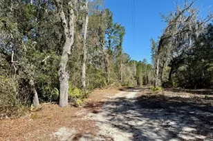 0 Live Oak Ln Rd, Nevils, GA 31321 - Photo 1